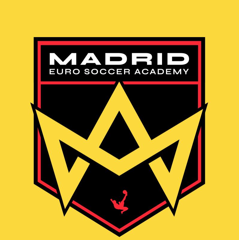 Madrid Euro Soccer Academy logo ybg 1